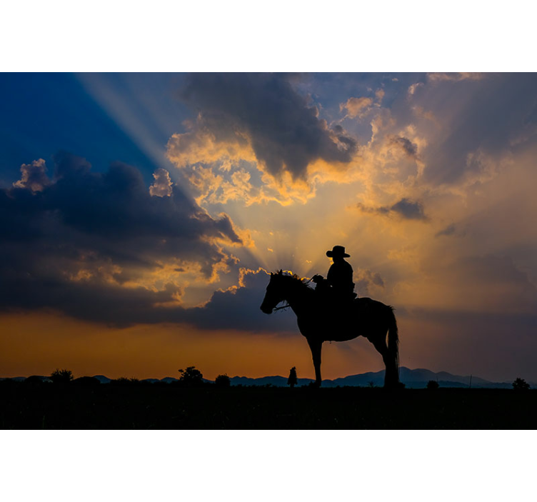 Fotomural animales jinete en caballo - TenVinilo