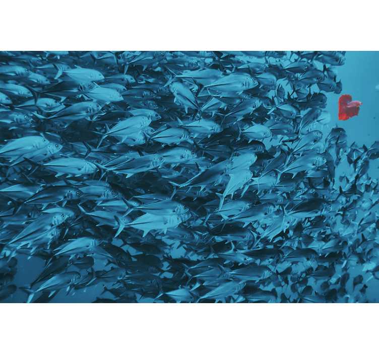 Fotomural animales escuela de peces submarinos - TenVinilo
