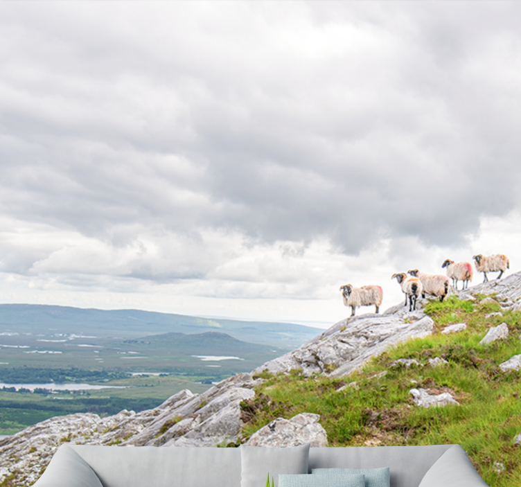 Fotomural animal corderos en las laderas - TenVinilo