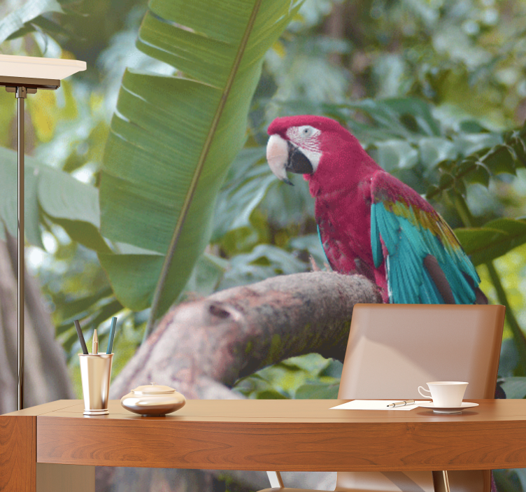 Fotomural animal loro guacamayo colorido - TenVinilo