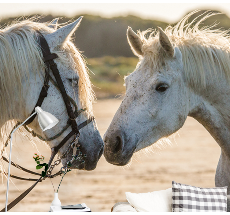 Fotomural animales afecto tierno de caballo - TenVinilo
