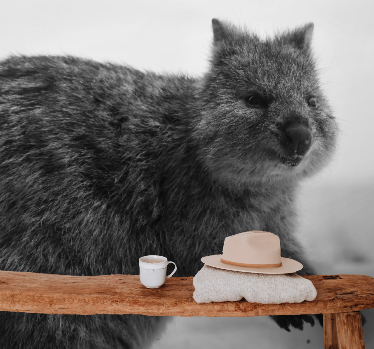 Fotomural animales expresión de wombat en primer plano - TenVinilo