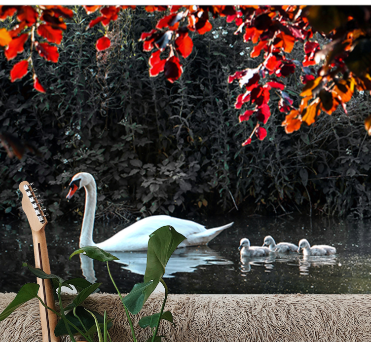 Fotomural animales familia de cisnes elegantes - TenVinilo