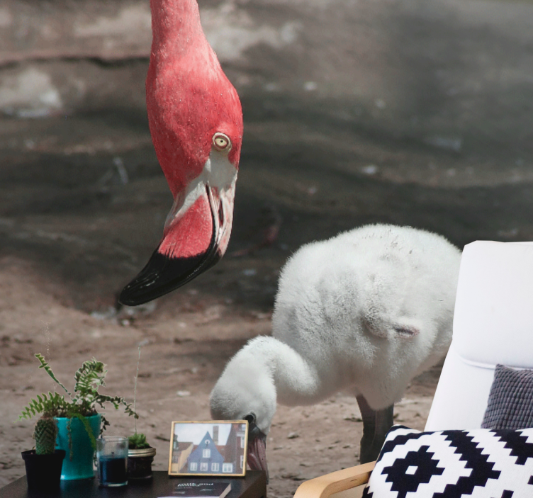 Fotomural animales flamenco polluelo - TenVinilo