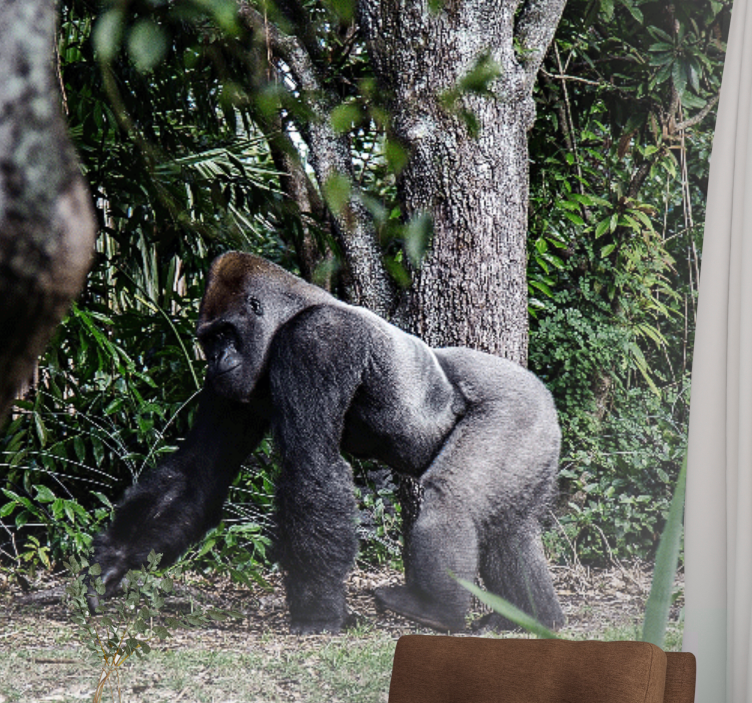 Fotomural animales gorila majestuoso paseando - TenVinilo