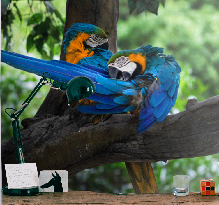 Fotomural animales lindo par de guacamayos - TenVinilo