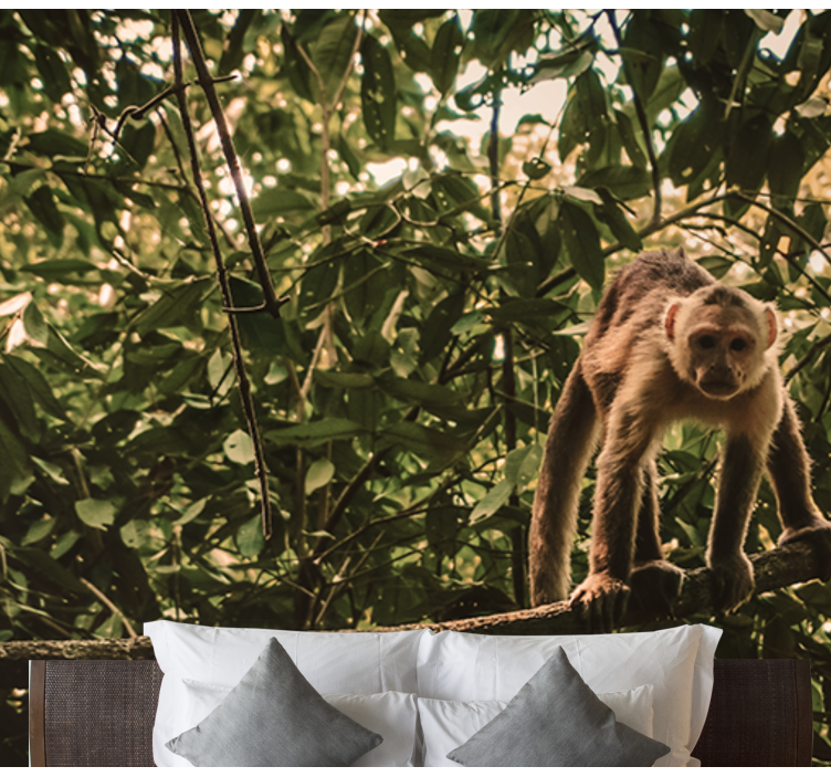 Fotomural animales mono en la rama - TenVinilo