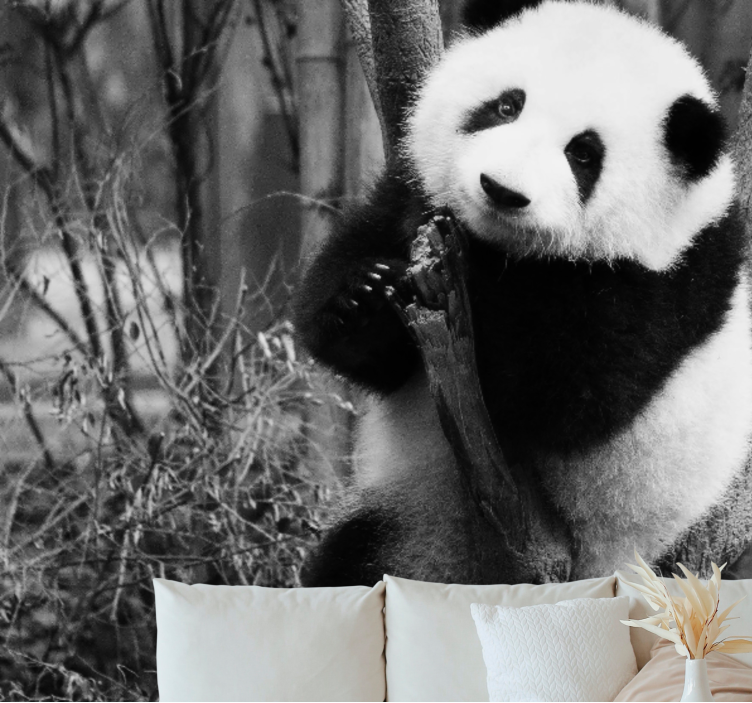 Fotomural animales panda en el árbol - TenVinilo