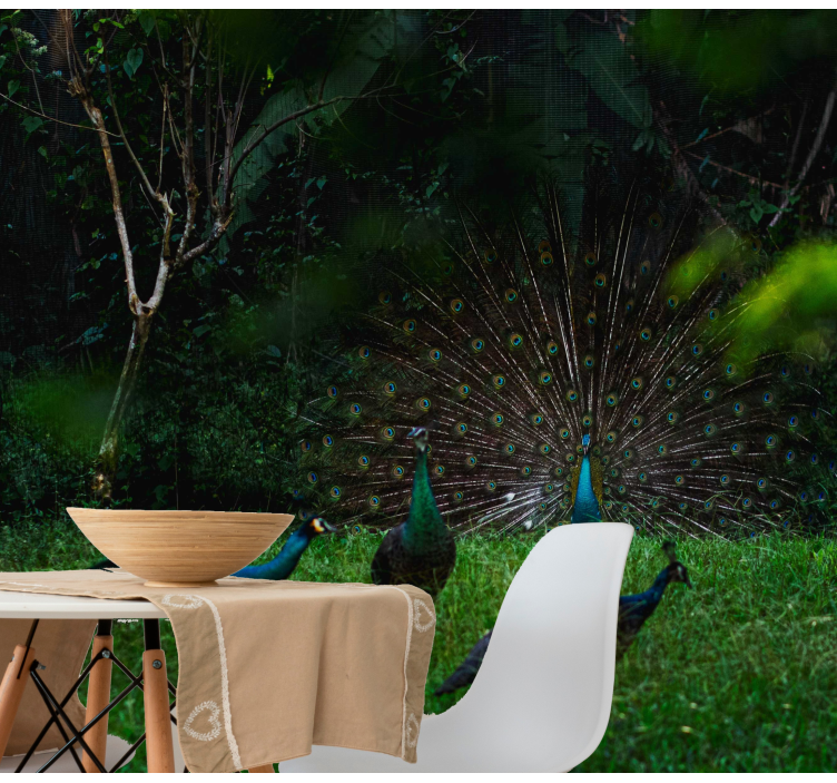 Fotomural animales pavo real mostrando plumas - TenVinilo
