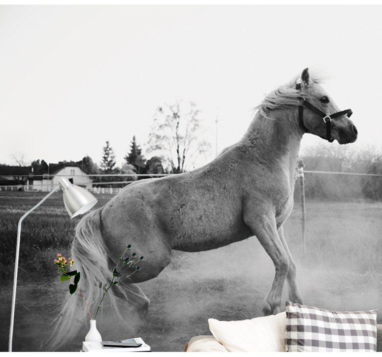 Fotomural animales pony galopante - TenVinilo