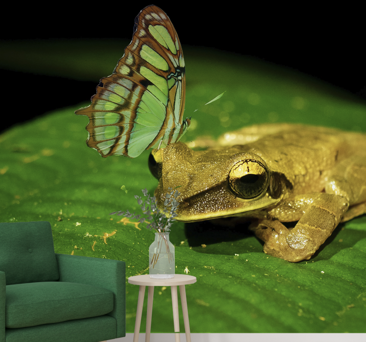 Fotomural animales rana y mariposa - TenVinilo