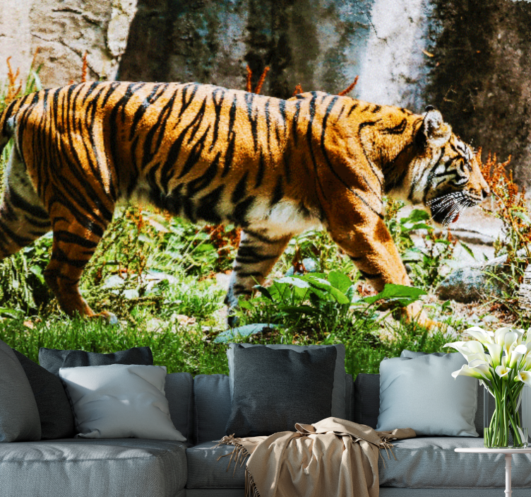 Fotomural animales tigre majestuoso caminando - TenVinilo