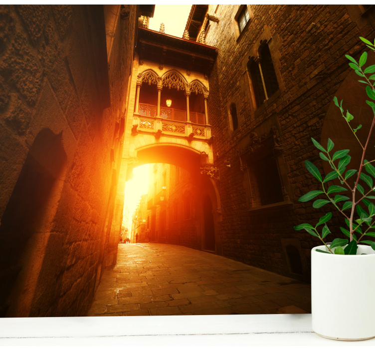 Fotomural barcelona arco gótico histórico - TenVinilo