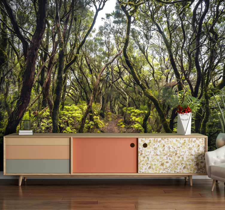 Fotomural bosque Anaga Tenerife - TenVinilo