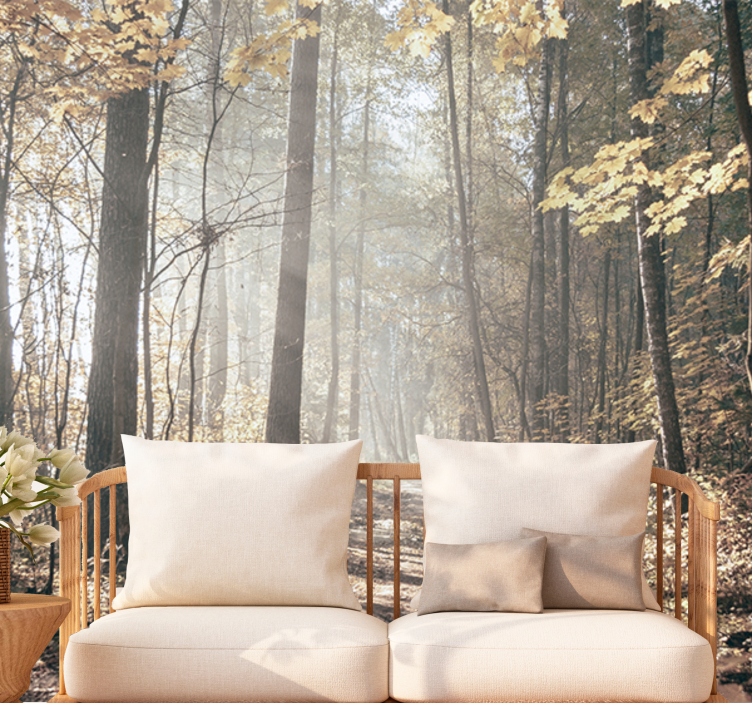 Fotomural bosque camino sereno de otoño - TenVinilo