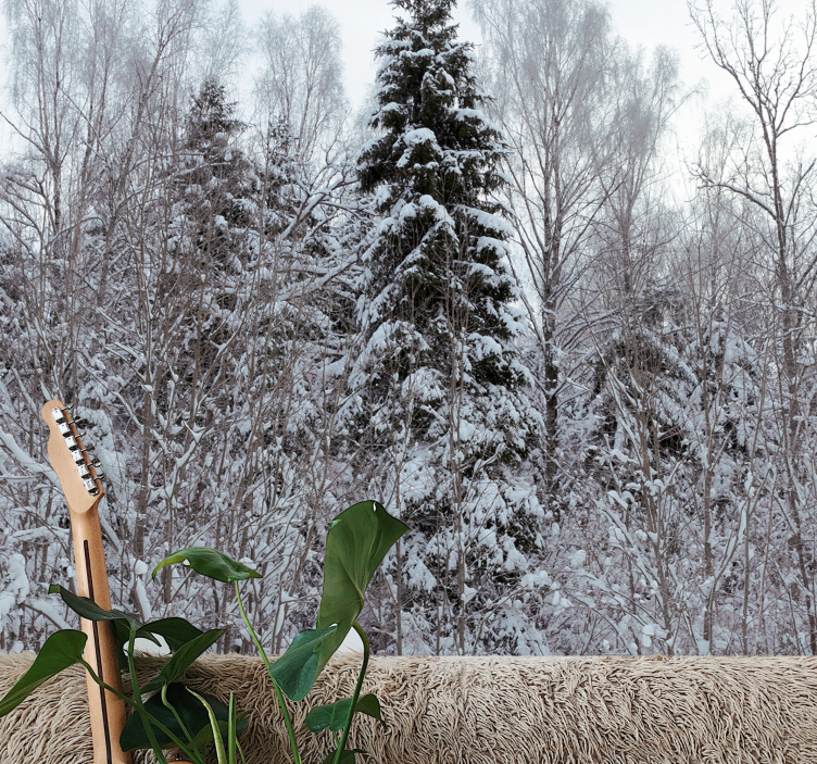 Fotomural bosque escena de bosque invernal - TenVinilo