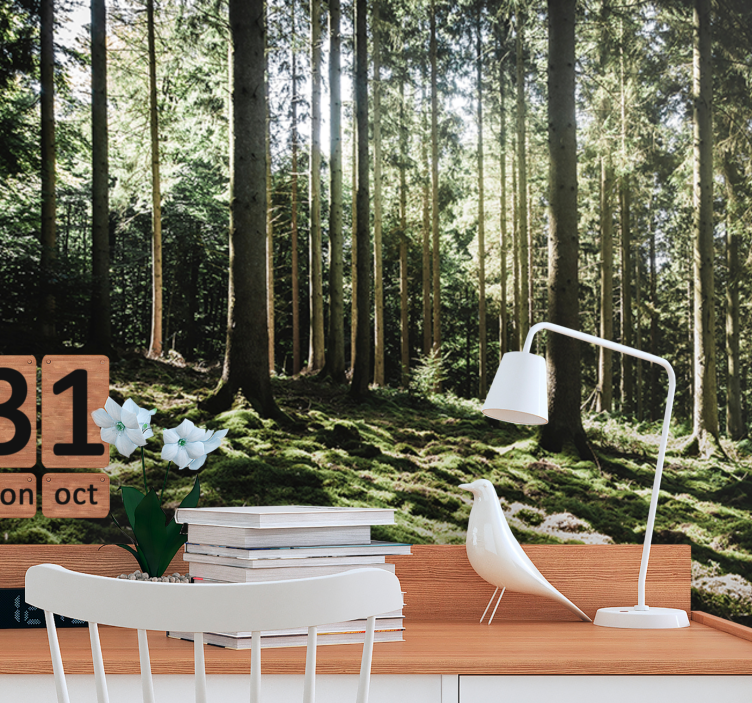 Fotomural bosque escena de bosque tranquilo - TenVinilo