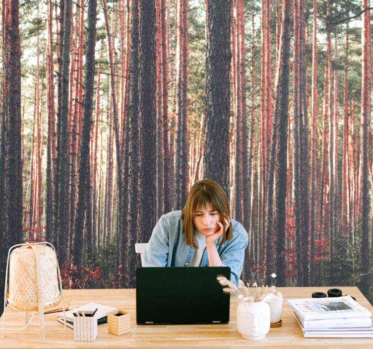 Fotomural bosque pinos tranquilos - TenVinilo