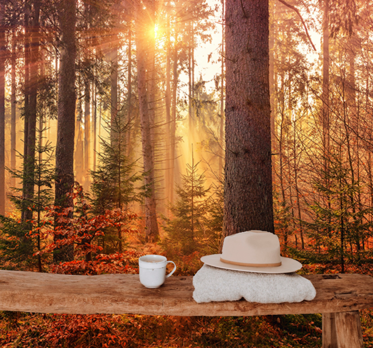 Fotomural bosque resplandor del bosque iluminado - TenVinilo