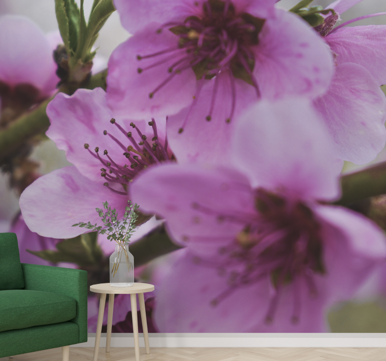 Fotomural de amapolas flores rosadas radiantes - TenVinilo