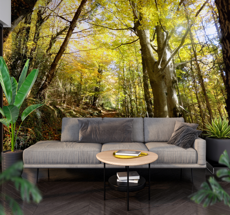 Fotomural bosque fageda de grevolosa - TenVinilo