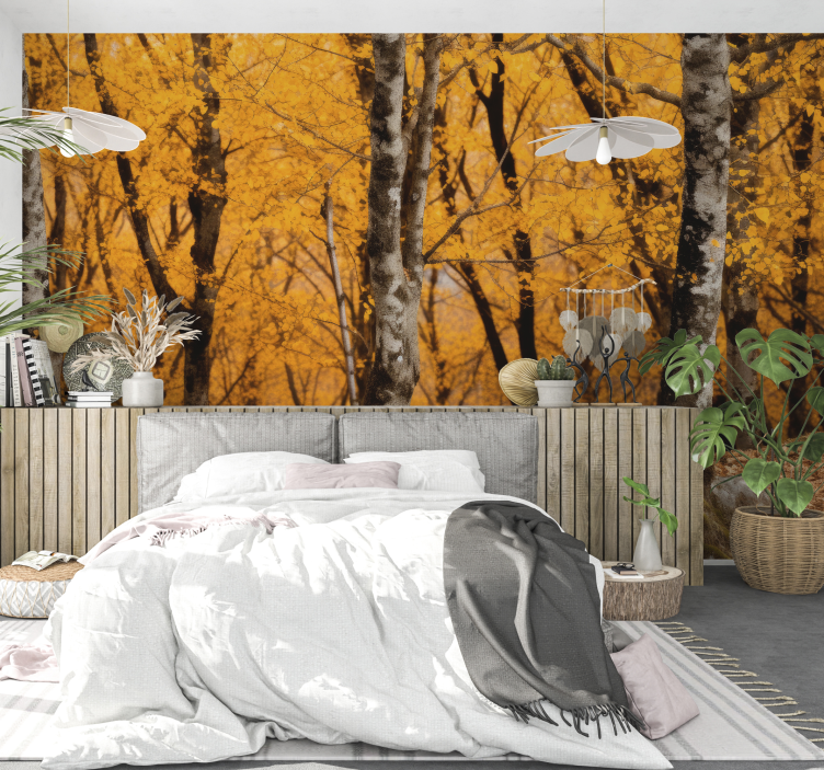 Fotomural de bosque Ordesa - TenVinilo