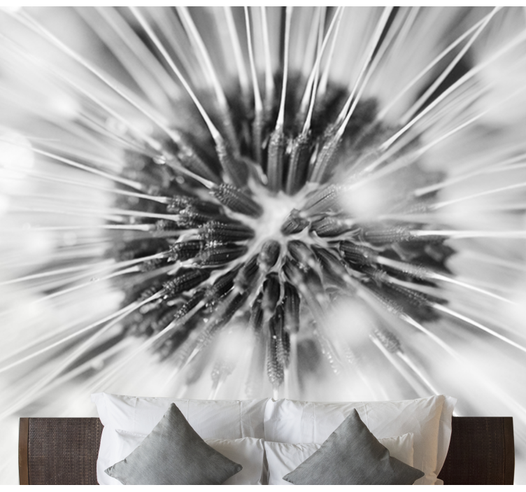 Fotomural diente de león explosión de semillas - TenVinilo