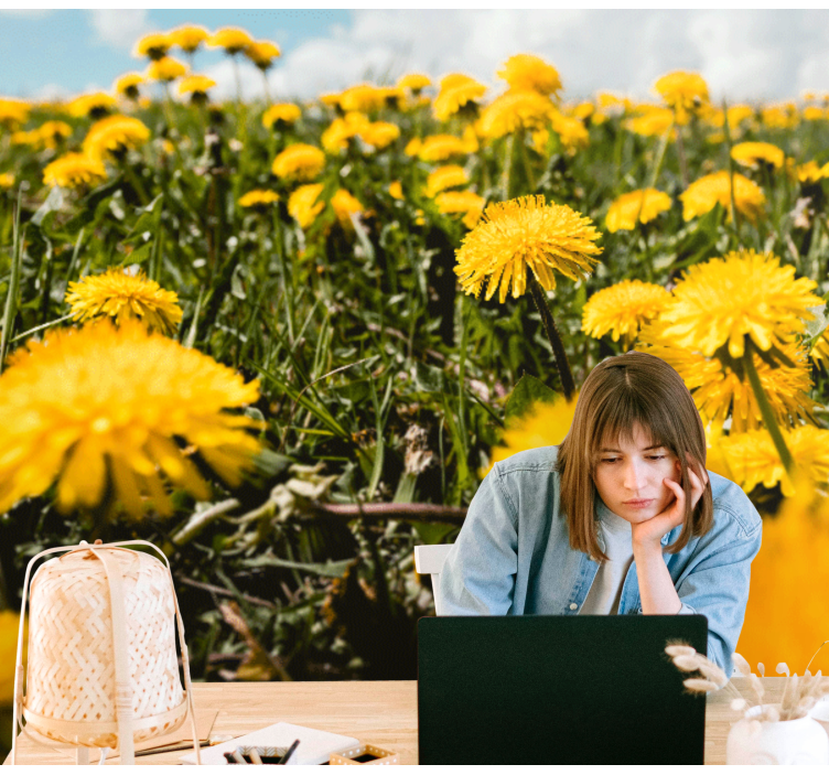 Fotomural diente de león vista de campo - TenVinilo