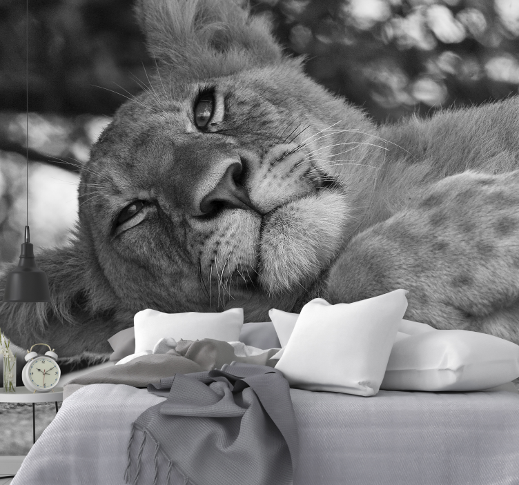 Fotomural león majestuoso y relajante - TenVinilo