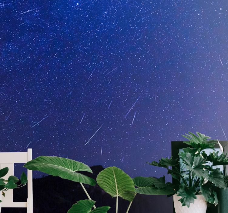 Fotomural montañas noche de cometas celestiales - TenVinilo