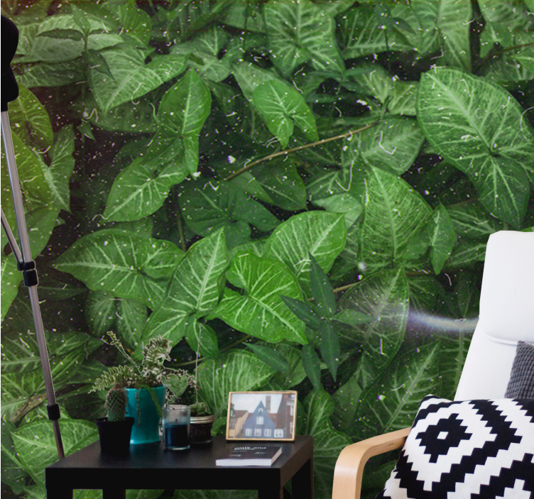 Fotomural naturaleza composición de hojas vivas - TenVinilo