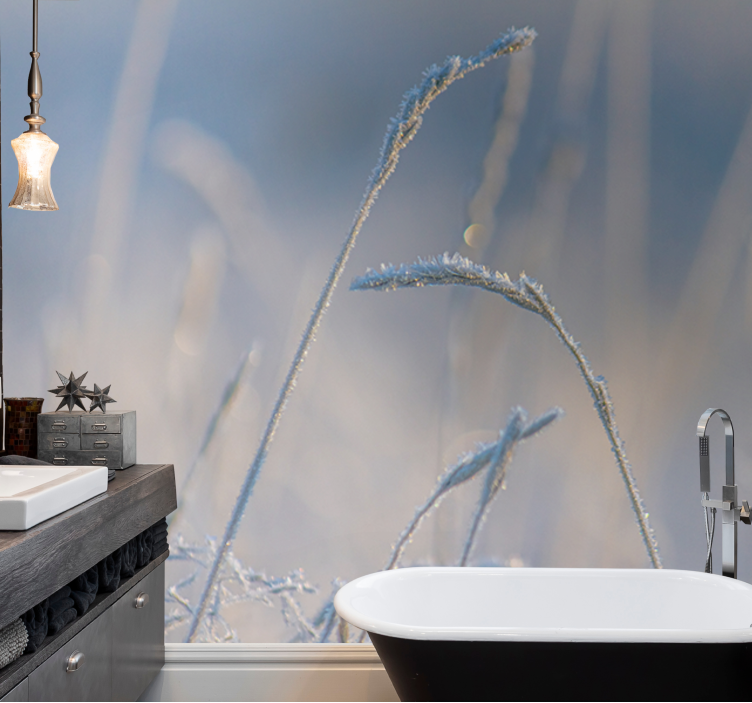 Fotomural naturaleza consejos de hierba helada - TenVinilo