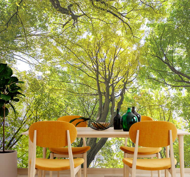 Fotomural naturaleza dosel de bosque exuberante - TenVinilo