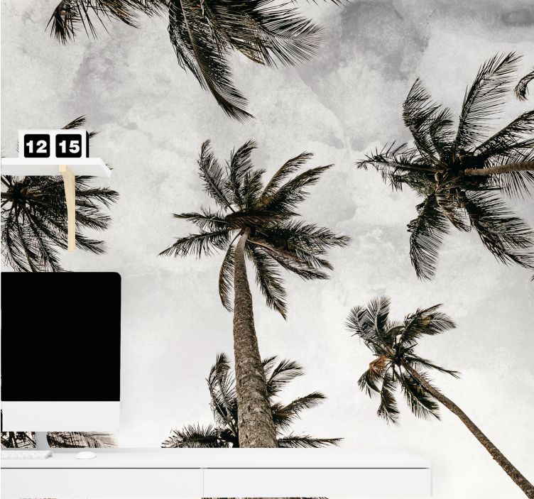 Fotomural naturaleza dosel de palmeras - TenVinilo