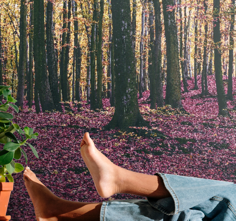 Fotomural naturaleza escena de bosque sereno - TenVinilo