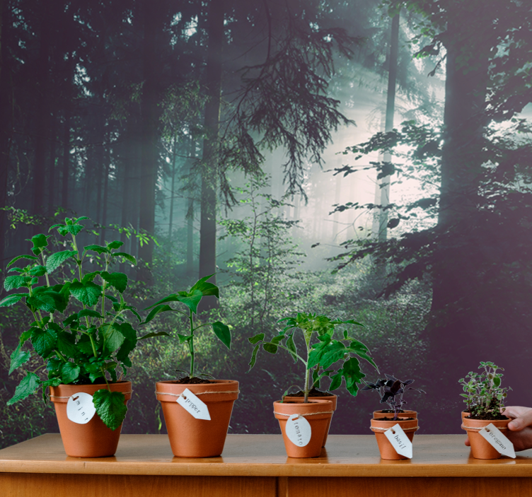 Fotomural naturaleza paisaje de bosque verdeante - TenVinilo