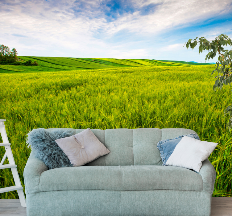 Fotomural naturaleza pradera verde - TenVinilo