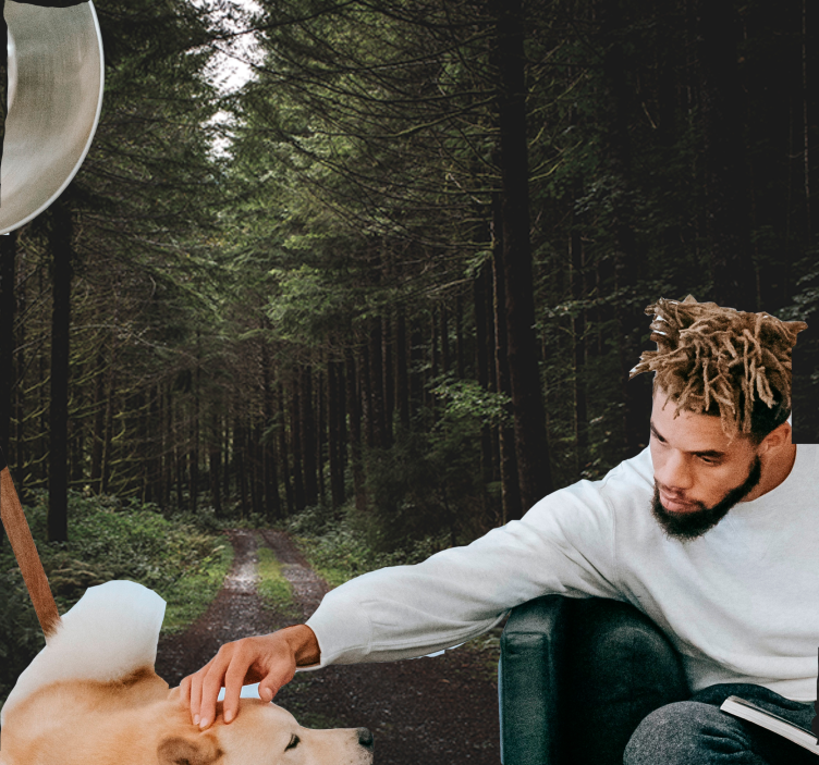 Fotomural naturaleza sendero boscoso verdeante - TenVinilo