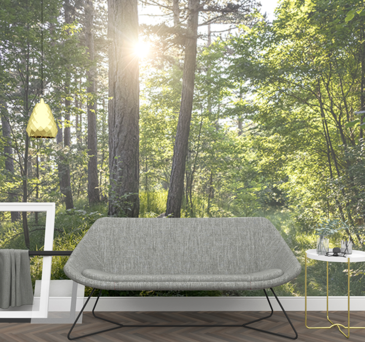 Fotomural naturaleza sendero luminoso en el bosque - TenVinilo