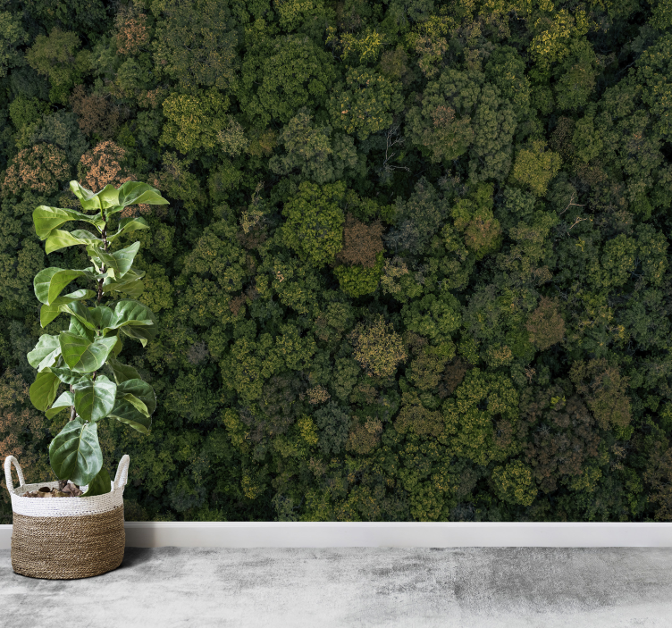 Fotomural selva vista aérea del bosque - TenVinilo