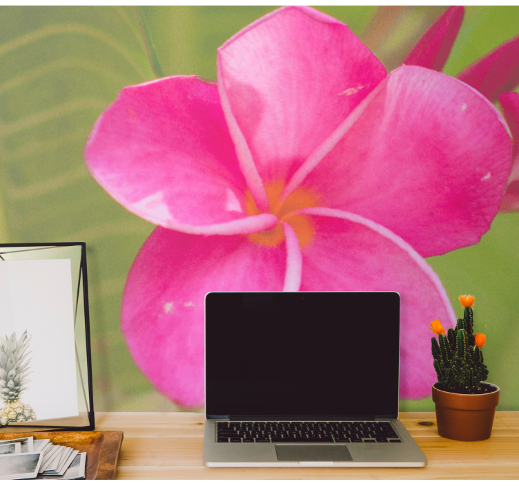Mural de pared flores acento floral rosa - TenVinilo