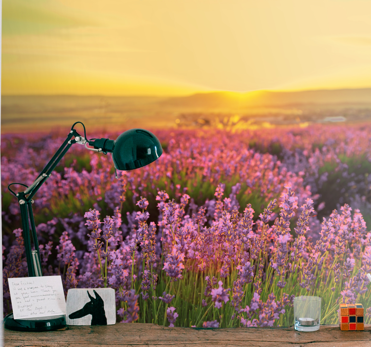 Mural de pared flores campo de lavanda al anochecer - TenVinilo