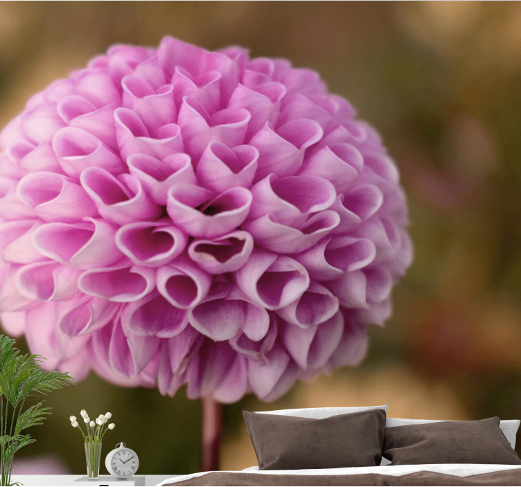 Mural de pared flores esfera floral rosa - TenVinilo