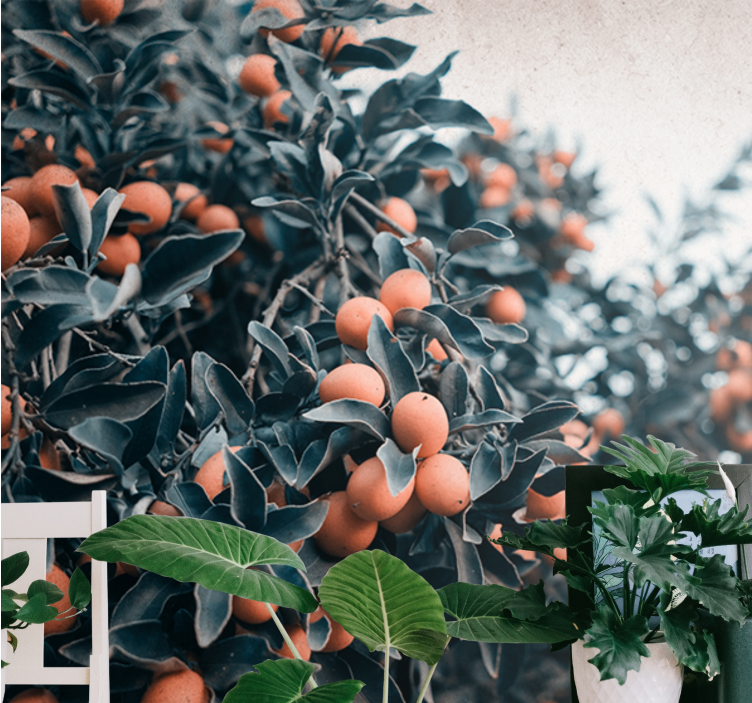 Mural de pared flores rama de frutas cítricas - TenVinilo
