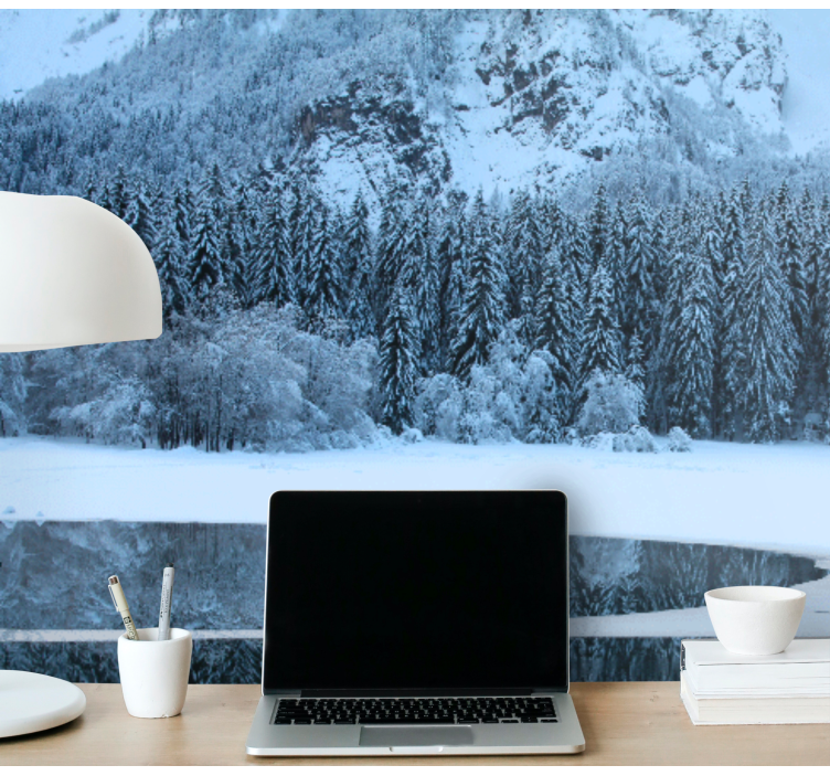 Papel pintado paisaje paisaje invernal sereno - TenVinilo