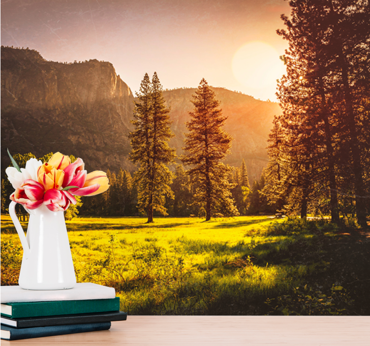 Papel pintado paisaje sereno atardecer en la montaña - TenVinilo