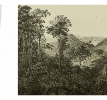 Papel pintado bosque estampado de bosque ondulado - TenVinilo