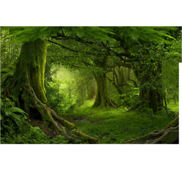 Papel pintado bosque escape a un bosque exuberante - TenVinilo