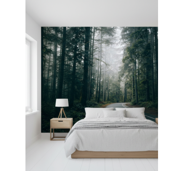 Papel pintado bosque camino de pinos nebulosos - TenVinilo