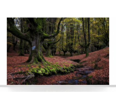 Papel pintado bosque bosque encantado de otoño - TenVinilo